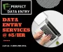 Perfect Data Entry