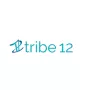 Tribe12org
