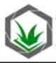 LA Turf & Paver