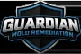 Professional Mold Remediation Services