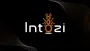 Intozi Tech Pvt Ltd