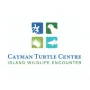Cayman Turtle Centre