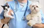 Veterinary Telemedicine