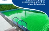 image for blog 