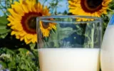 Cow milk