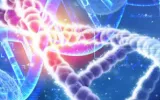 DNA mutations