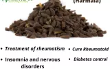 herbs for health