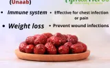 JUJUBE FRUIT | UNAAB 