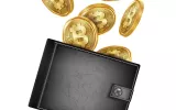 Wallet development company 
