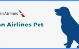 American Airlines Pet Policy