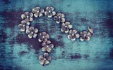 Things You Need to Know About Charm Bracelets