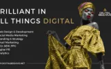 Digital Beehive 