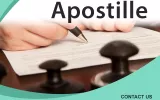 Assistance to Apostille