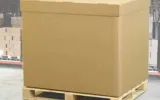 Vijay Packing Company