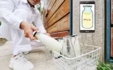 Milk Delivery App Development