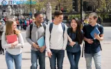 In the United States, you can learn how to work or acquire an internship in your field of study.