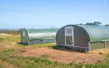 Chicken Rearing