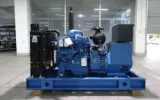 Treatment Of Yuchai Generator Problem