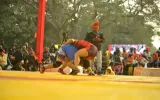 World Professional Wrestling Hub