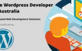 Hire Wordpress Developer in Australia