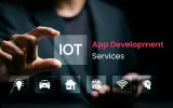 iot application development