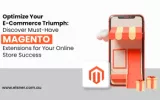 Magento Extensions for Your Online Store Success