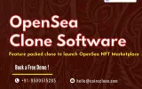 OpenSea Clone script