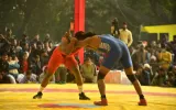 The Future of Professional Wrestling
