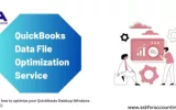 QuickBooks Data File Optimization