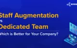 staff augmentation