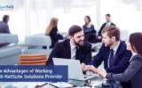 NetSuite Support Services