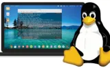Discover the Best Linux Distros in 2026