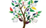 The Thought Tree Best IAS/RAS Coaching in Jaipur.