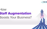 staff augmentation