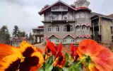 Homestay in Mashobra 