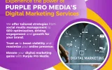 purple pro media digital marketing agency in coimbatore
