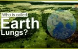 Earth Lungs