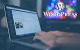 WordPress Web Developer