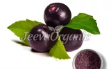 Botanical Name: Euterpe oleracea Forms Available: Powder