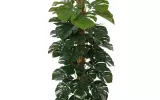 buy artificial trees online