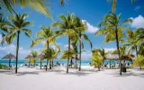 Best Car Rental Deals at Queen Beatrix Airport (AUA)