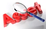 asset investigation services New York