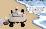 best beach wagon