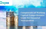Working Capital