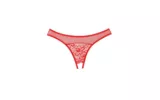 plus size lingerie