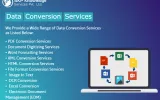 data conversion