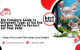 different type of koi fish