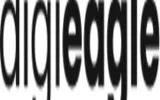 digieagle best digital marketing company