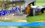 Pressure Washing Services in Miami