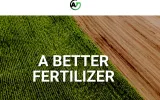 Best Fertilizer with High Phosphorus